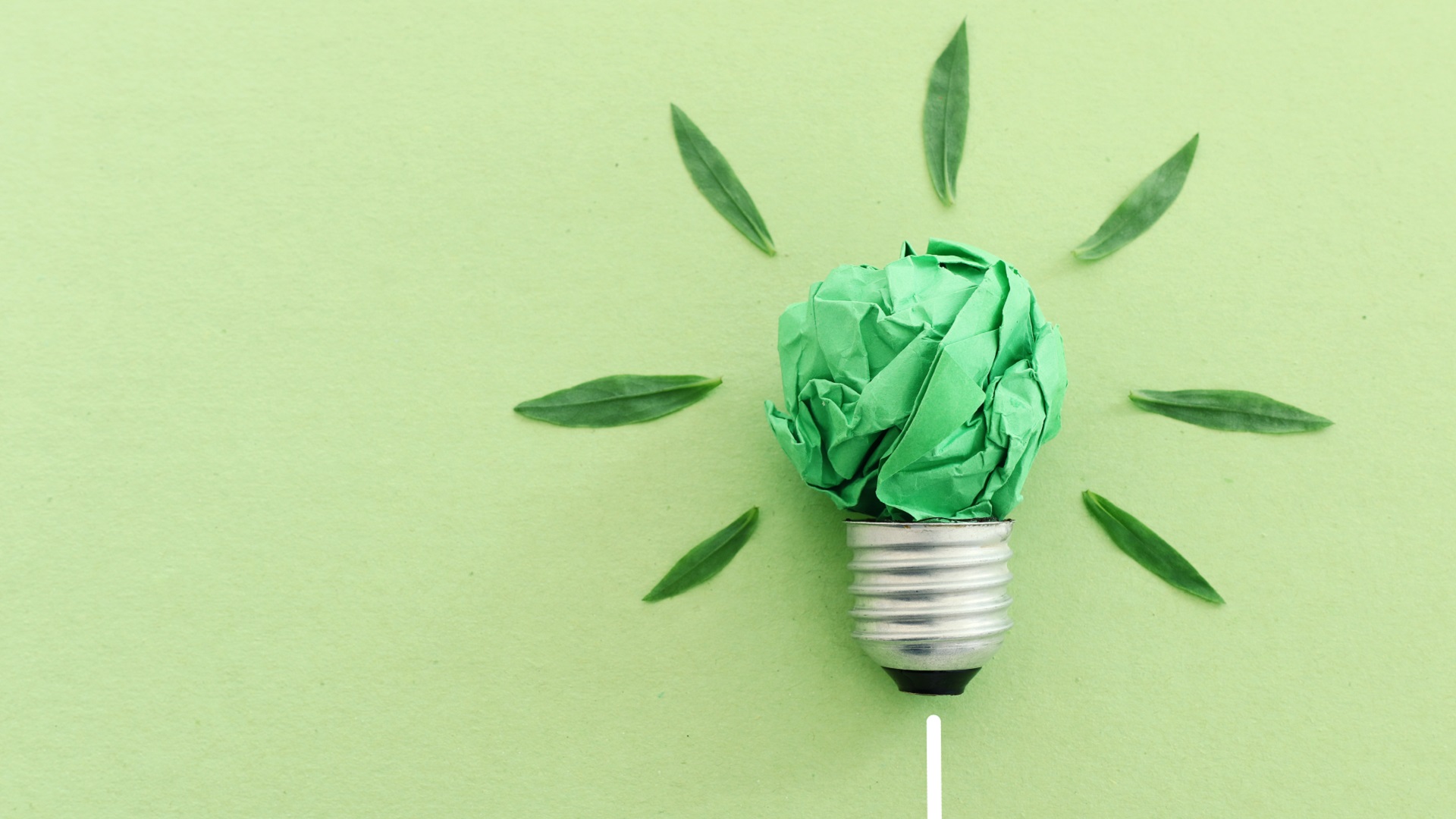 Développement durable : « L’innovation ne peut être enfermée dans le respect de process trop complexes et contraignants »