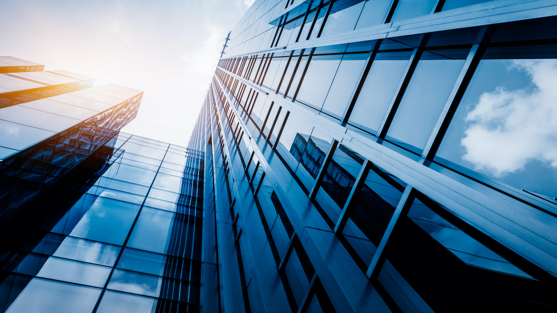 Quelles sont les procédures à suivre pour domicilier votre entreprise ?